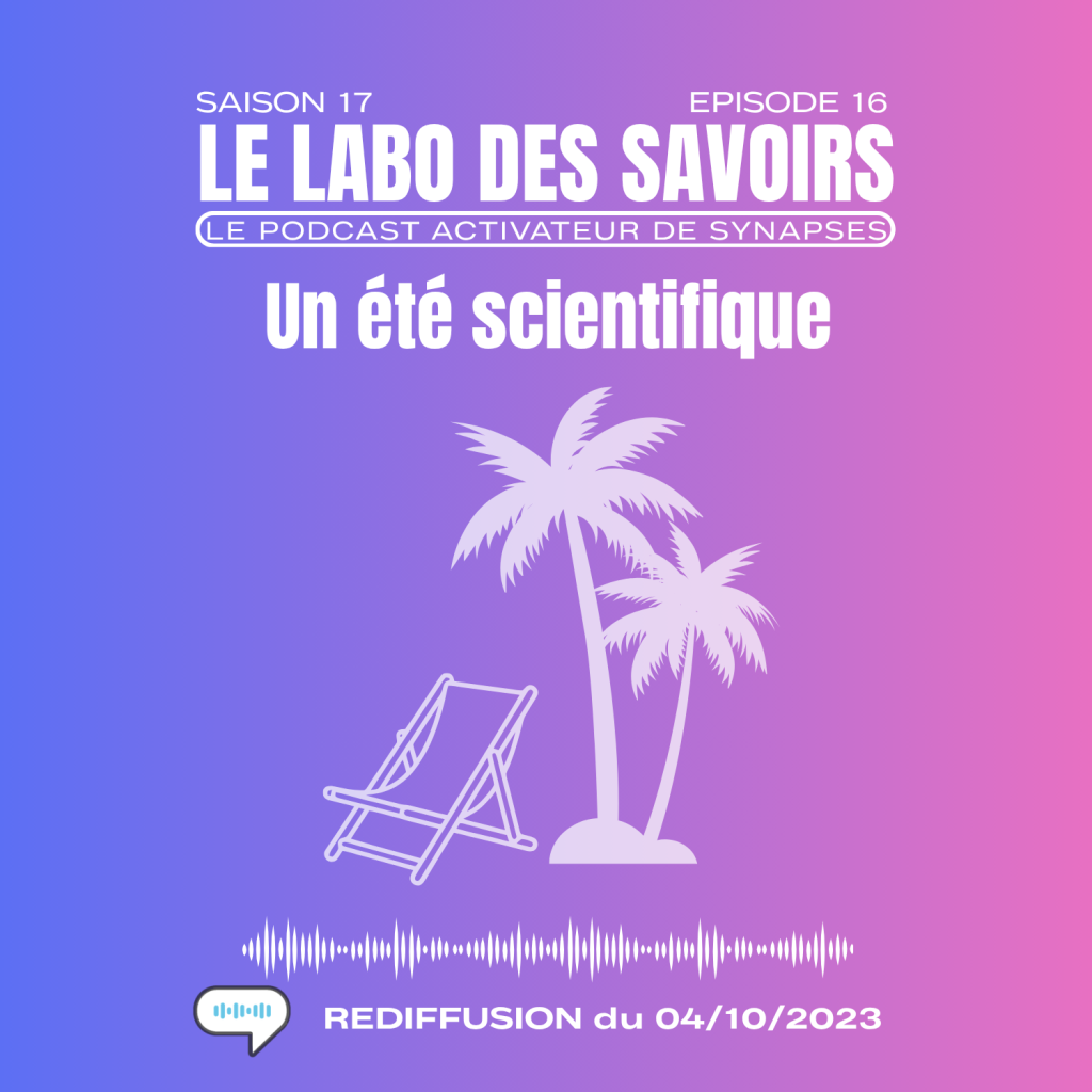 miniature d'un été scientifique